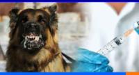 මෙරටින් ජලභීතිකා මරණ 20 ක්...